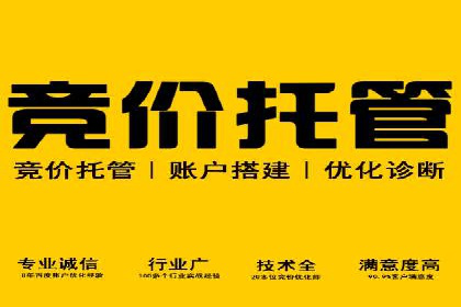 案例研究：百度竞价广告投放效果